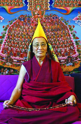 Ven. Kirti Tsenshab Rinpoche